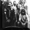 Beach Boys, The
