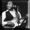Muddy Waters