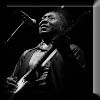 Muddy Waters